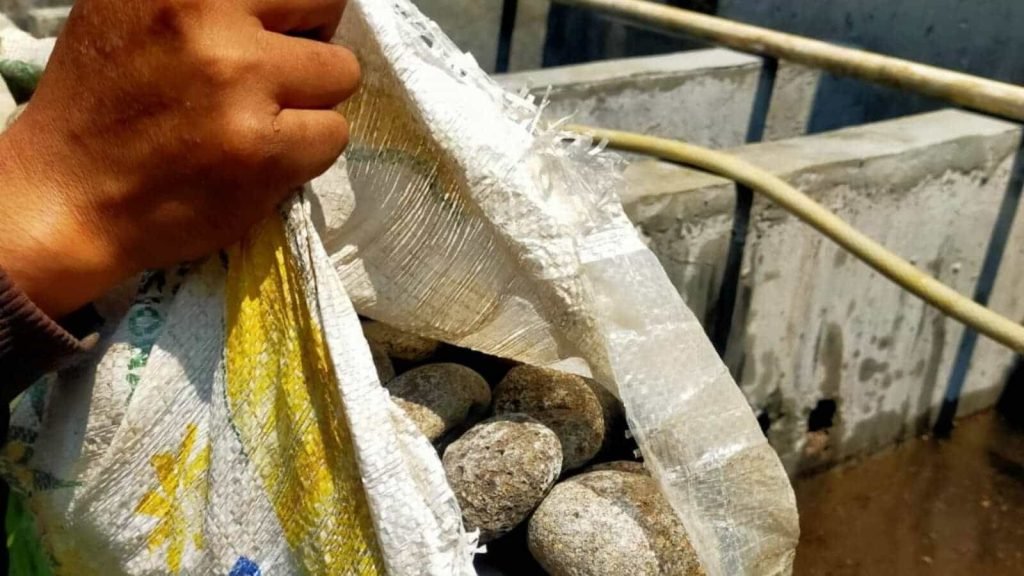 WhatsApp Image 2024-11-16 at 13.55.38 (10)-min