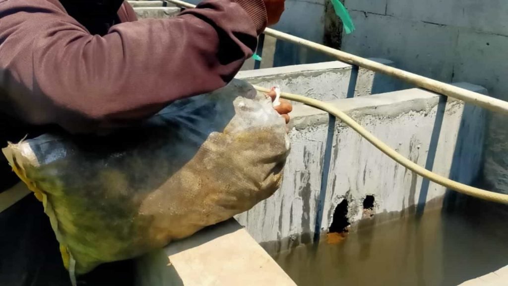 WhatsApp Image 2024-11-16 at 13.55.38 (12)-min