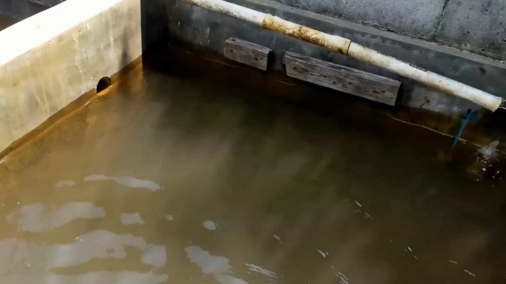 WhatsApp Image 2024-11-16 at 13.55.38 (8)-min