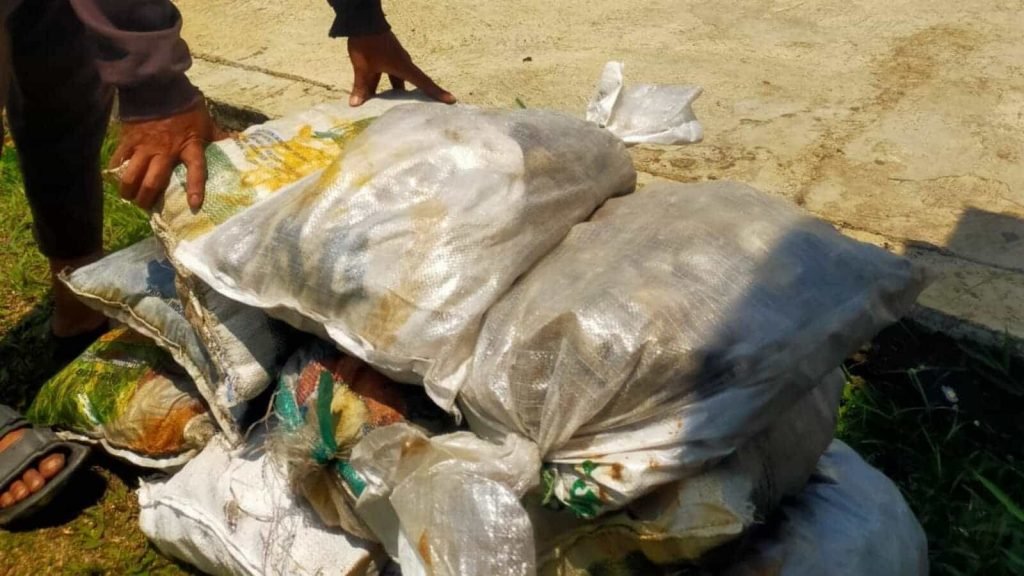 WhatsApp Image 2024-11-16 at 13.55.38 (9)-min